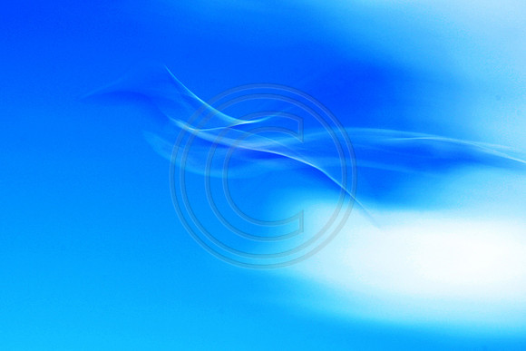 Gull flight blurred motion blur sky abstract