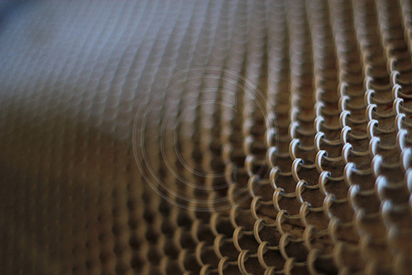 Mesh