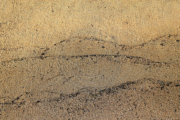 Mountains in the Sand